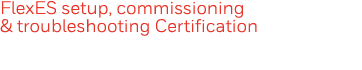 FlexES setup, commissioning & troubleshooting Certification