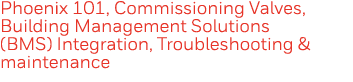Phoenix 101, Commissioning Valves, Building Management Solutions (BMS) Integration, Troubleshooting & maintenance
