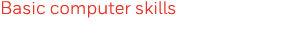 Basic computer skills