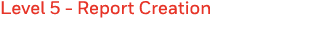 Level 5 - Report Creation 