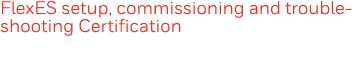 FlexES setup, commissioning and troubleshooting Certification