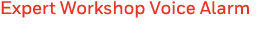 Expert Workshop Voice Alarm