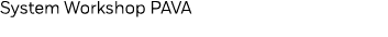 System Workshop PAVA