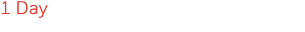 1 Day