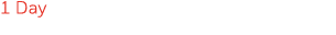 1 Day